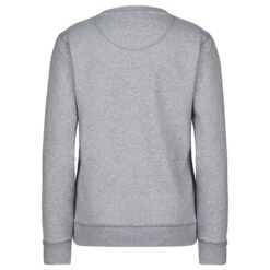 FRILUFTS OMAUI PRINTED SWEATER Damen Sweatshirt SMOKED PEARL SEAGULL CLASSIC -Frilufts Angebote Store 5638042622 c omaui printed sweater frilufts 24